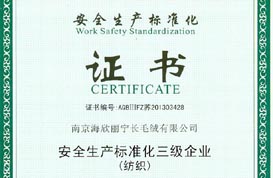 安全生产标准化